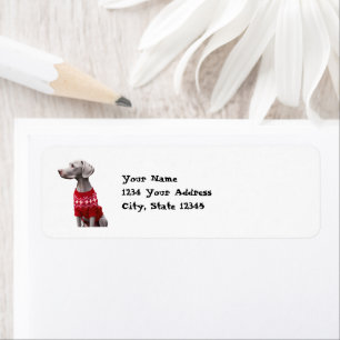 Funny Weimaraner in Christmas Sweater Address