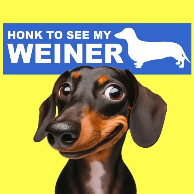 Funny Weiner Dog  (Dachshund) Quote Bumper Sticker (Creator Uploaded)