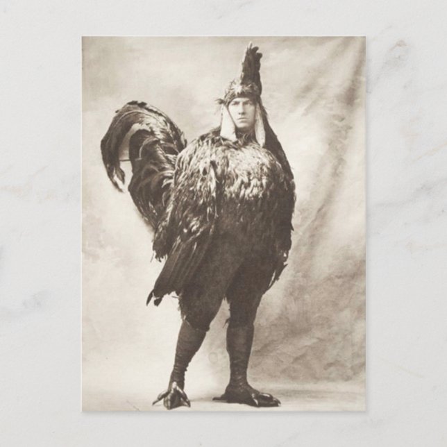 Funny Weird Vintage Photograph of Chicken Costume Postcard (Front)