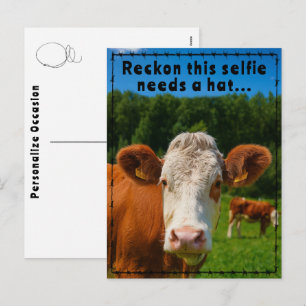 Funny Western Cow Selfie Joke Ranch & Farm Style Holiday Postcard