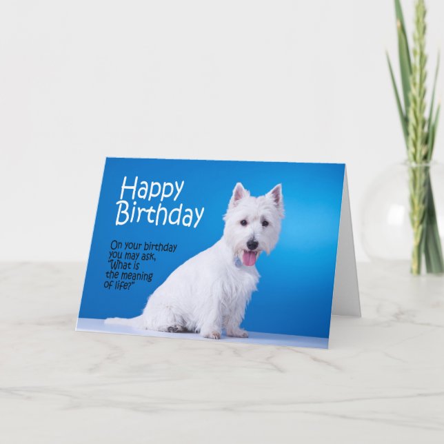 Funny Westie Birthday Card (Front)