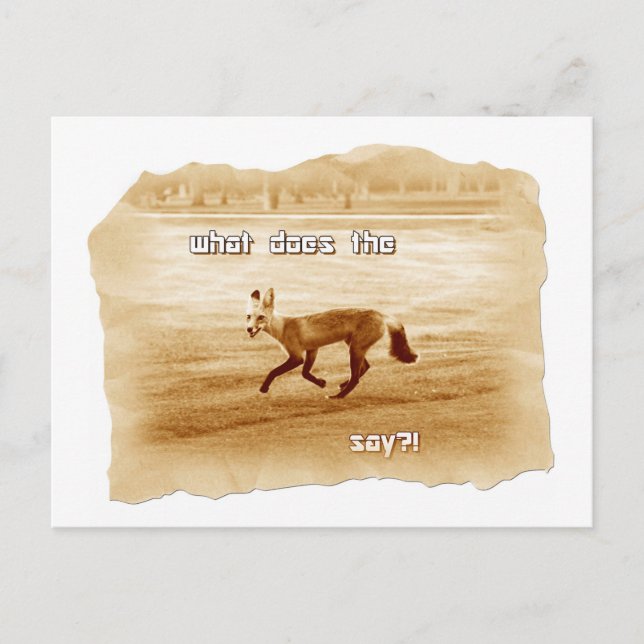 funny what does the fox say postcard (Front)