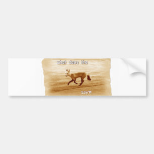 funny what does the fox say song bumper sticker