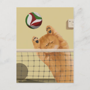 Funny Whimsical playful Cat: Volleyball Postcard