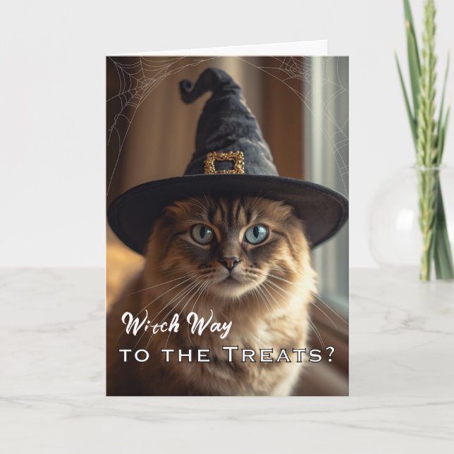 Funny Whiskerween with Halloween Witch Cat Card (Front)