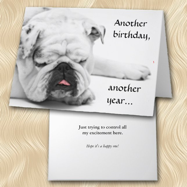Funny White Bulldog Birthday Card (Creator Uploaded)