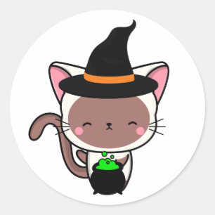 Funny white cat is a witch classic round sticker