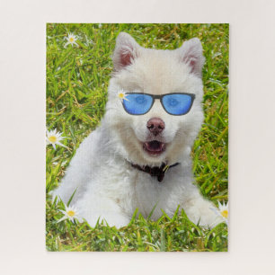 Funny White Husky Puppy, Jigsaw Puzzle