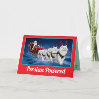 Funny White Persian Cat Christmas Holiday