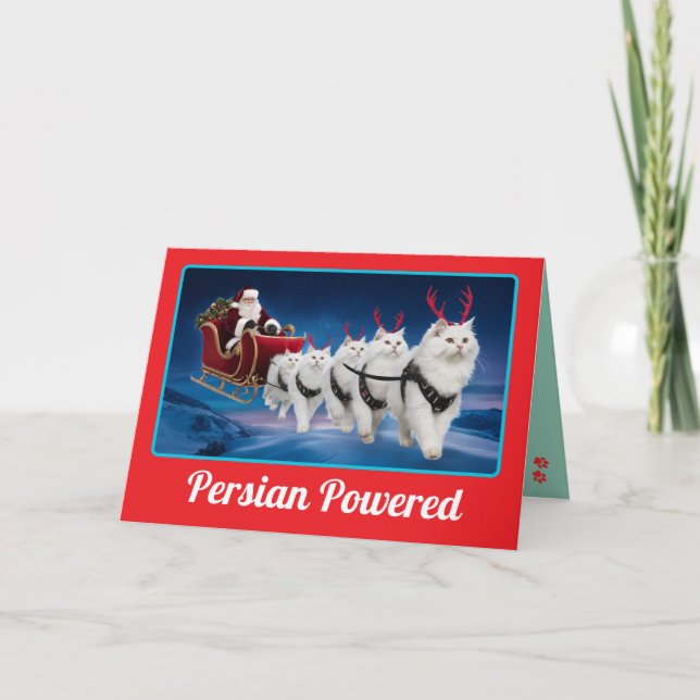 Funny White Persian Cat Christmas Holiday Card (Front)
