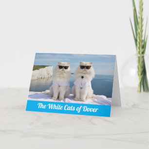Funny White Persians of Dover Card