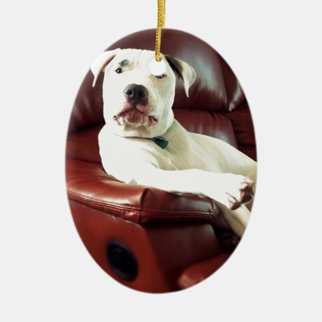 funny white pit bull dog on the couch ceramic tree decoration (Front)