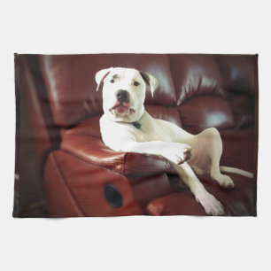funny white pit bull dog on the couch tea towel
