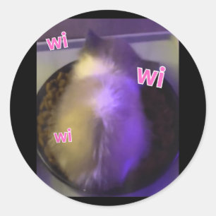 Funny Wi Wi Wi Cat Kitten Eating Meme Gen Z Humour Classic Round Sticker