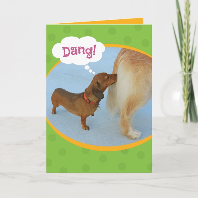 Funny Wiener Sniffing Golden Retiever Birthday Card (Front)