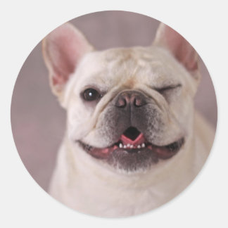 Funny winking Dog French Bulldog Classic Round Sticker