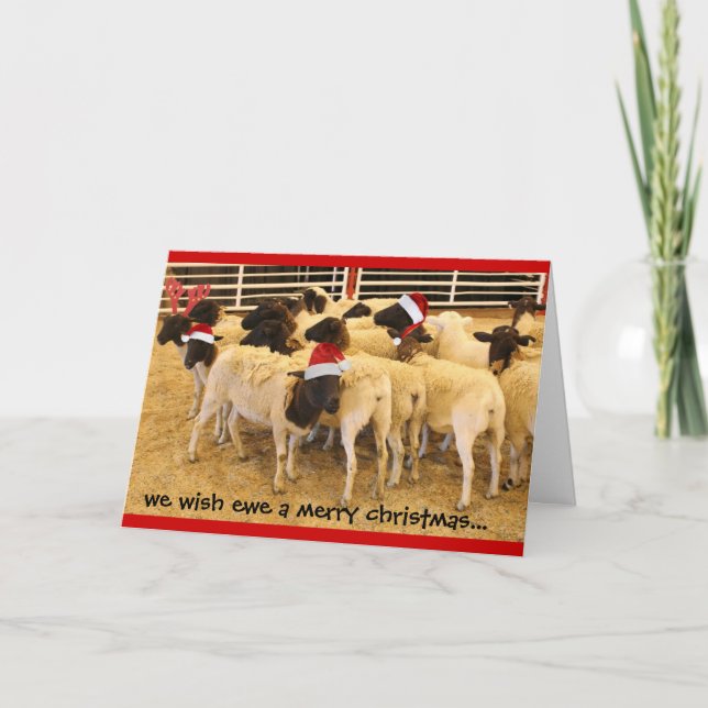 Funny, Wish Ewe a Merry Christmas, no BAA humbugs Holiday Card (Front)