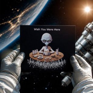 Funny Wish You Were Here Postcard