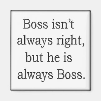 Funny words of wisdom 17 magnet