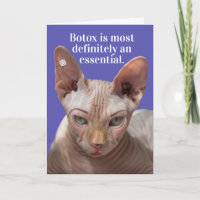 Funny Wrinkled Cat- Botox Is Essential