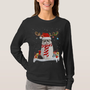 Funny Xmas Lighting Reindeer Santa Hat Ragdoll Cat T-Shirt