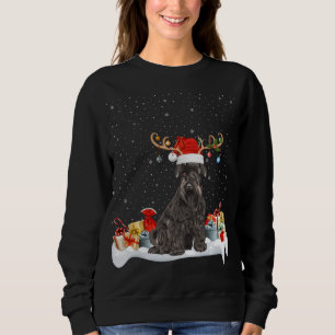 Funny Xmas Lighting Reindeer Santa Hat Schnauzer C Sweatshirt