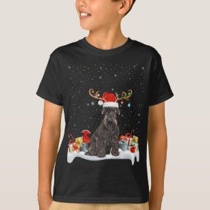 Funny Xmas Lighting Reindeer Santa Hat Schnauzer C T-Shirt