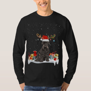 Funny Xmas Lighting Reindeer Santa Hat Schnauzer C T-Shirt