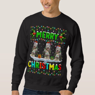 Funny Xmas Lighting Santa Hat Merry Christmas Bear Sweatshirt