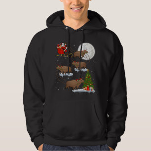 Funny Xmas Lighting Tree Santa Riding Capybara Chr Hoodie