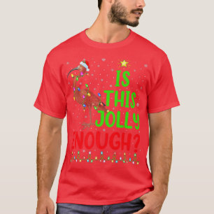 Funny Xmas Tree Is This Jolly Enough Ibis Bird Chr T-Shirt