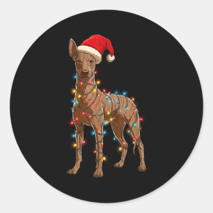 Funny Xoloitzcuintli Christmas Graphic Dog Lights  Classic Round Sticker