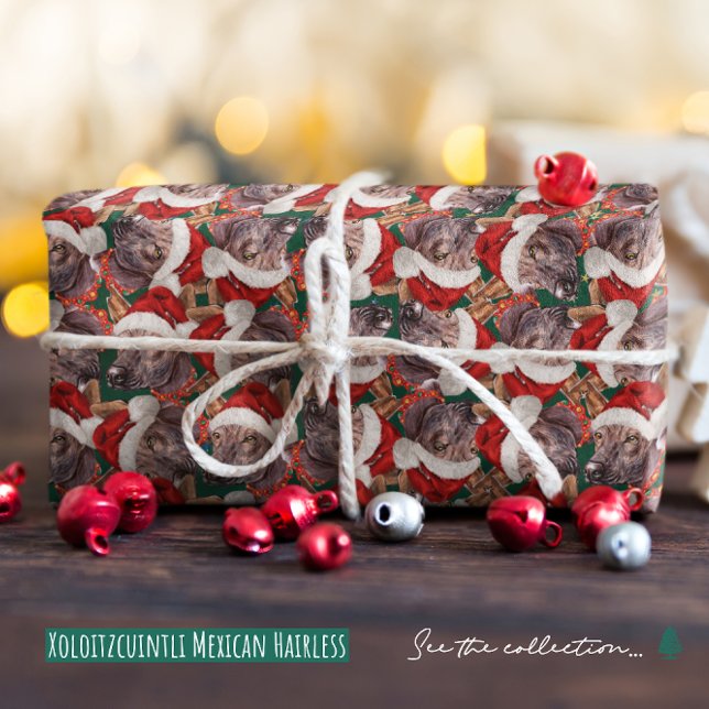 Funny Xoloitzcuintli Mexican Hairless Christmas Wrapping Paper (Creator Uploaded)