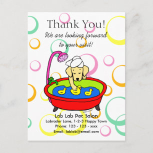 Funny Yellow Lab Cartoon Pet Salon Postcard
