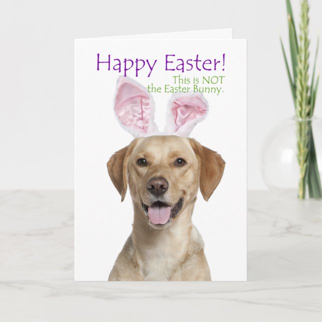 Funny Yellow Lab Easter Card (Front)