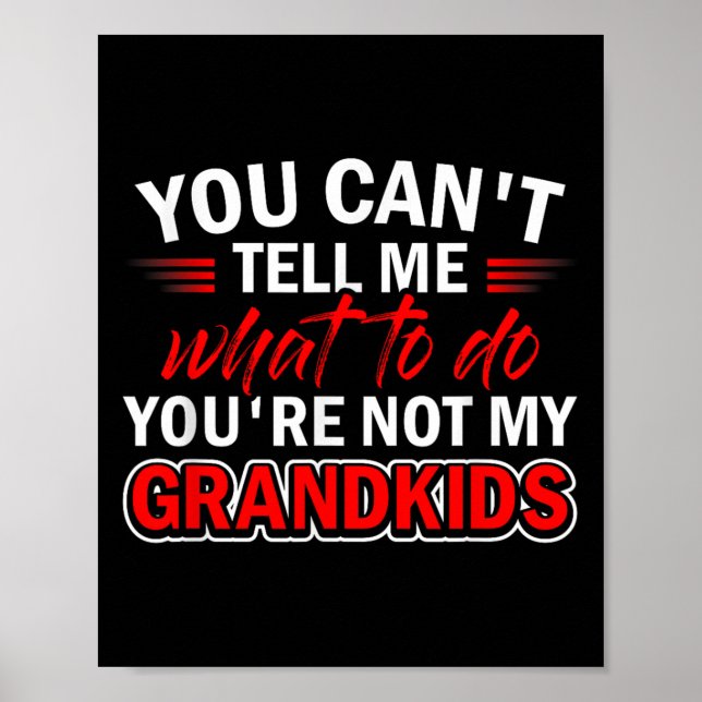 Funny You Can't Tell Me What To Do You're Not My G Poster (Front)