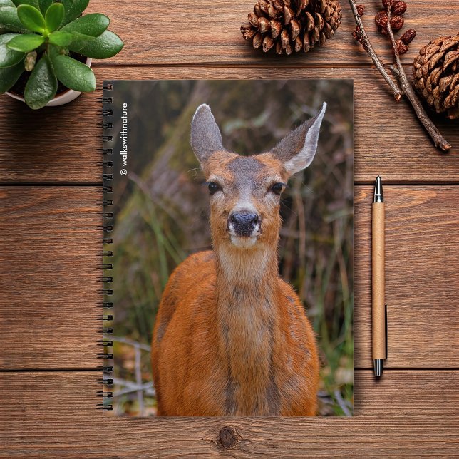 Funny Young Blacktail Deer Smiles at Photographer Notebook (Young Blacktail Deer Stares at the Photographer Journal Cover Photo)