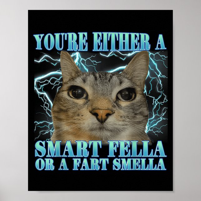 Funny You're Either A Smart Fella Or A Fart Smella Poster (Front)