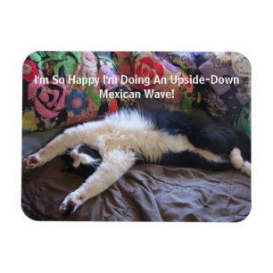 FunnyTuxedo Cat Cute doing a Mexican Wave Magnet