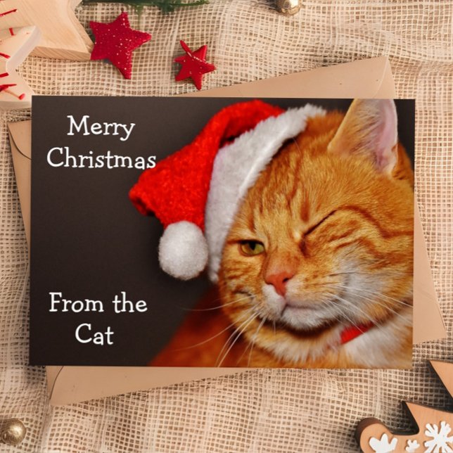 Funy Merry Christmas from the Cat Holiday Card (Creator Uploaded)