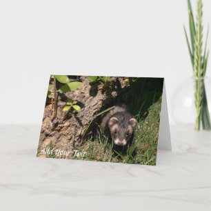 Fur Babies. Sable Ferrets Holiday Card