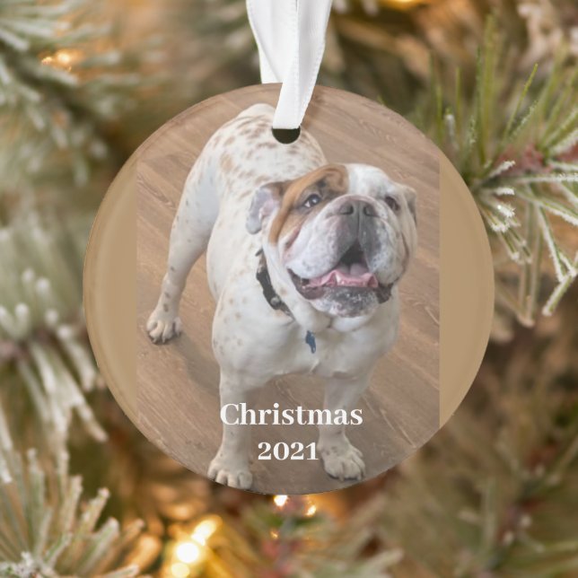 Fur Baby Christmas Ornament (Tree)