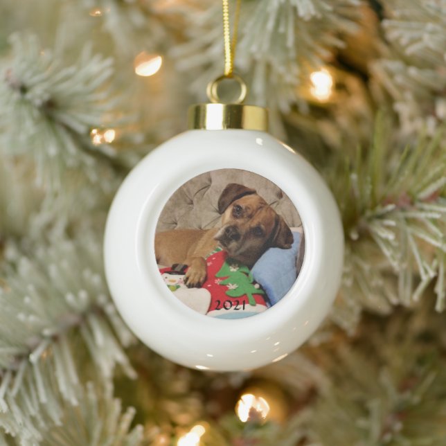 Fur Baby Personalised Ceramic Ball Ornament (Tree)