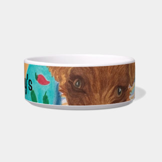 Fur Baby’s Bowl