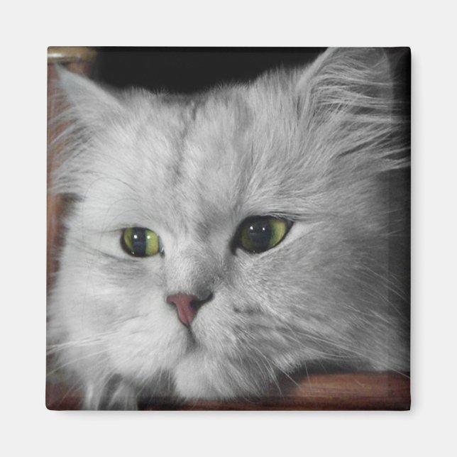 Fur Face Magnet (Front)