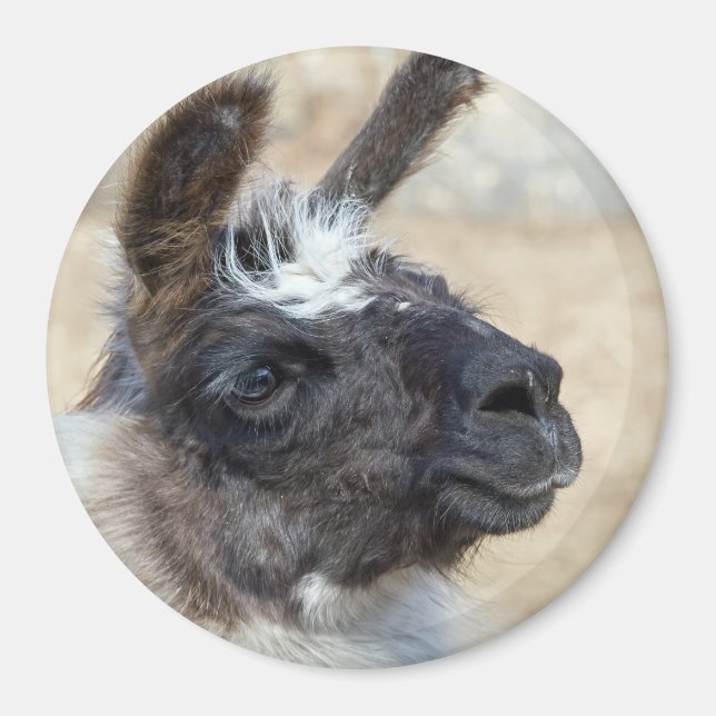 Fur Face Magnet (Front)