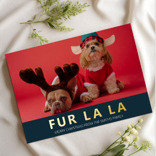 Fur La La Blue Gold Modern Pet Christmas Photo
