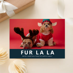 Fur La La Blue Modern Pet Christmas Photo Holiday Card