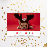 Fur La La Christmas Funny Pet Dog Lover Photo