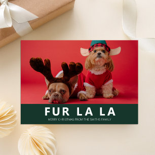 Fur La La Green Modern Pet Christmas Photo Holiday Card